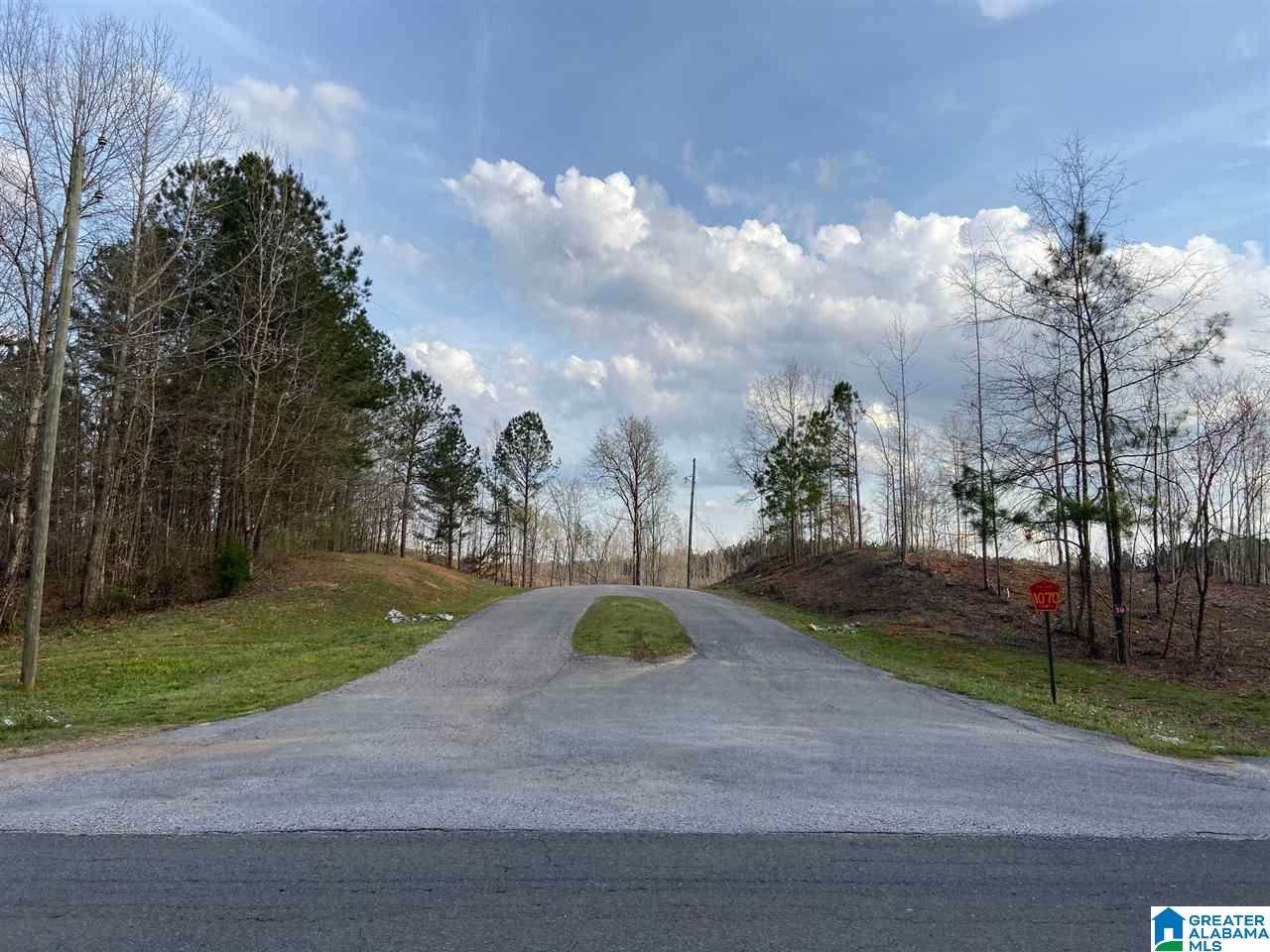 230 Co Rd 1070 - Photo 1