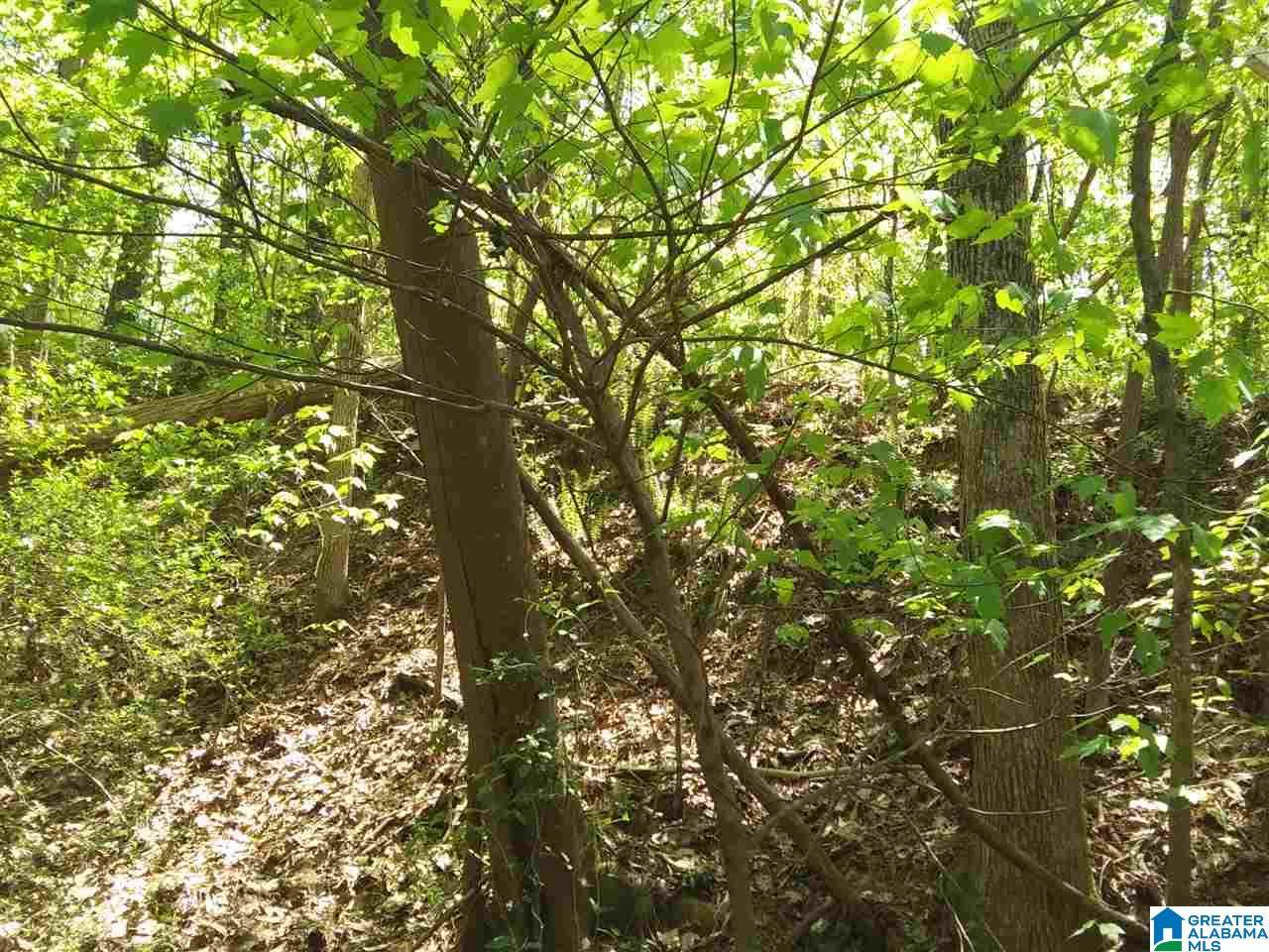 331 Beech St - Photo 1