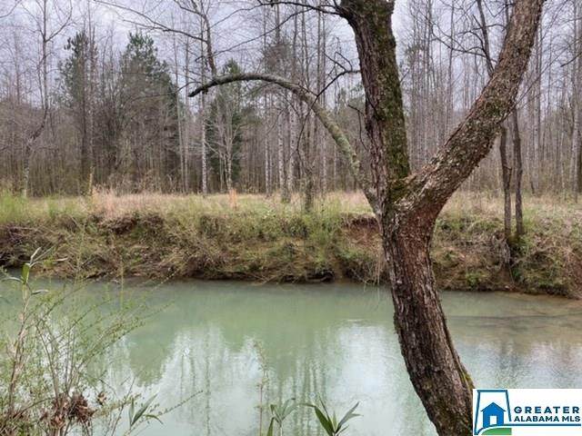 Pendley Creek Rd - Photo 1