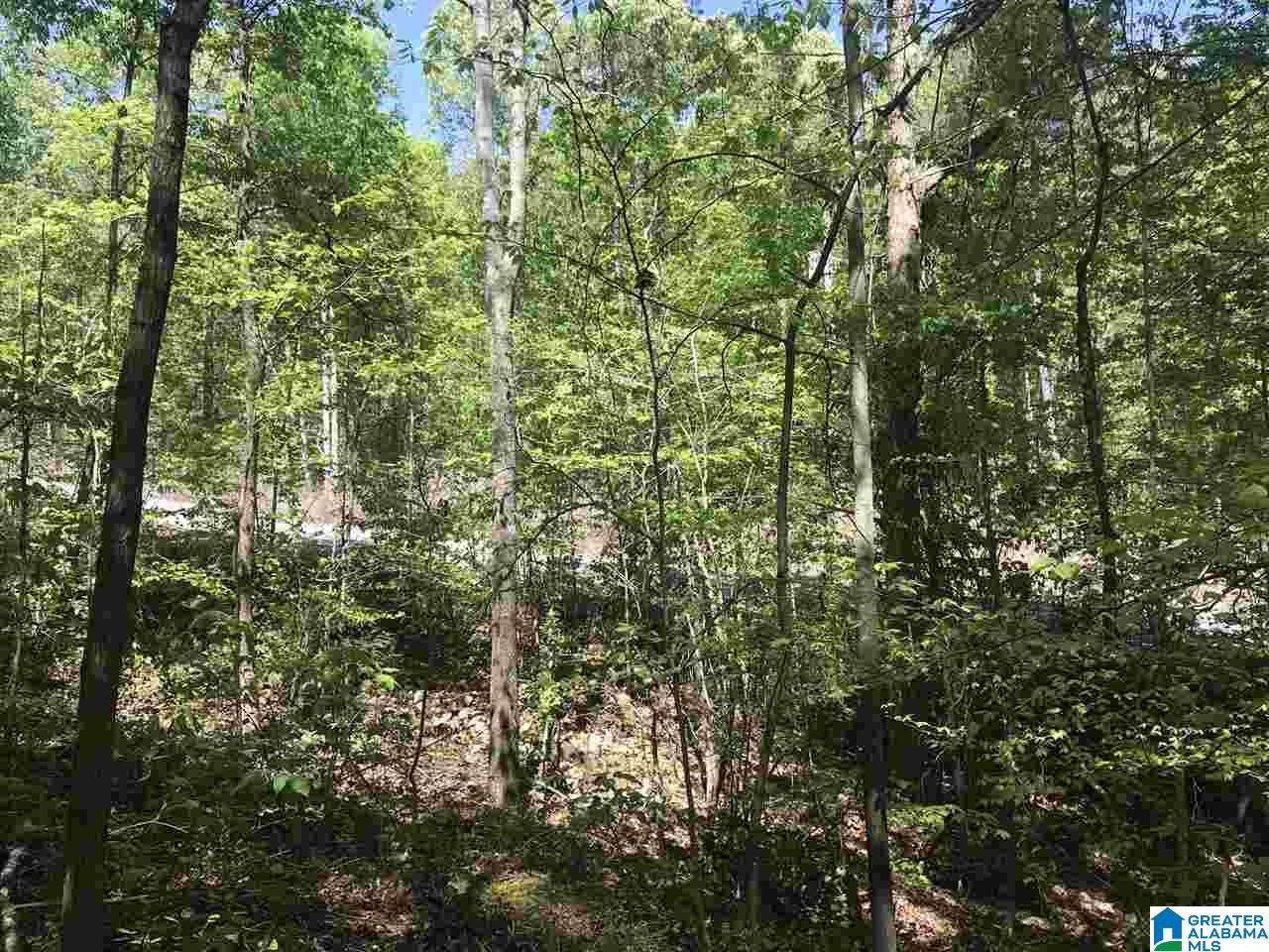 00 Shoal Crest Drive - Photo 1
