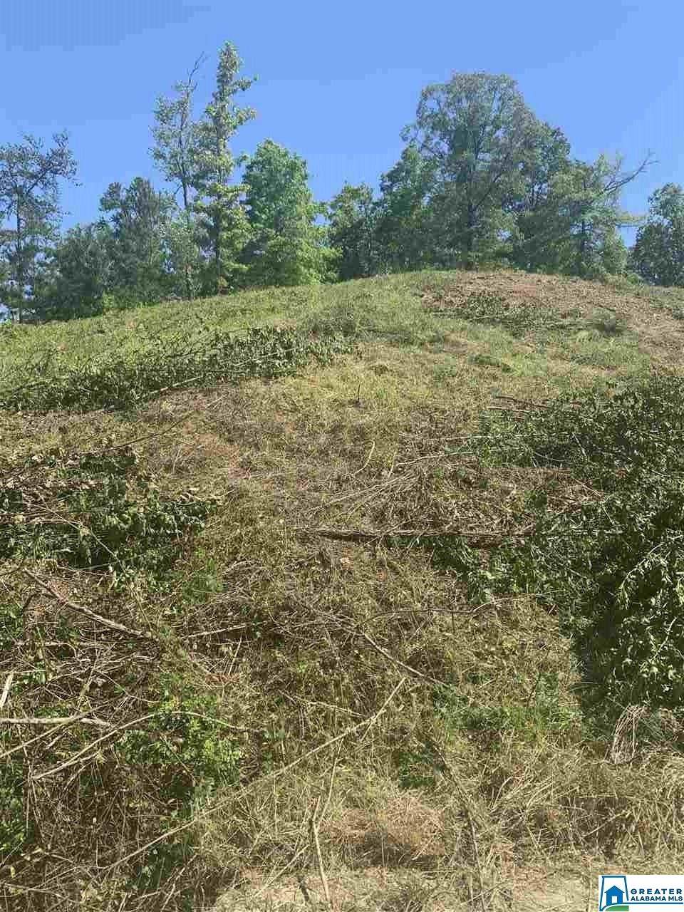 0 Hays Cemetery Rd - Photo 1 0 Hays Cemetery Rd - Photo 1