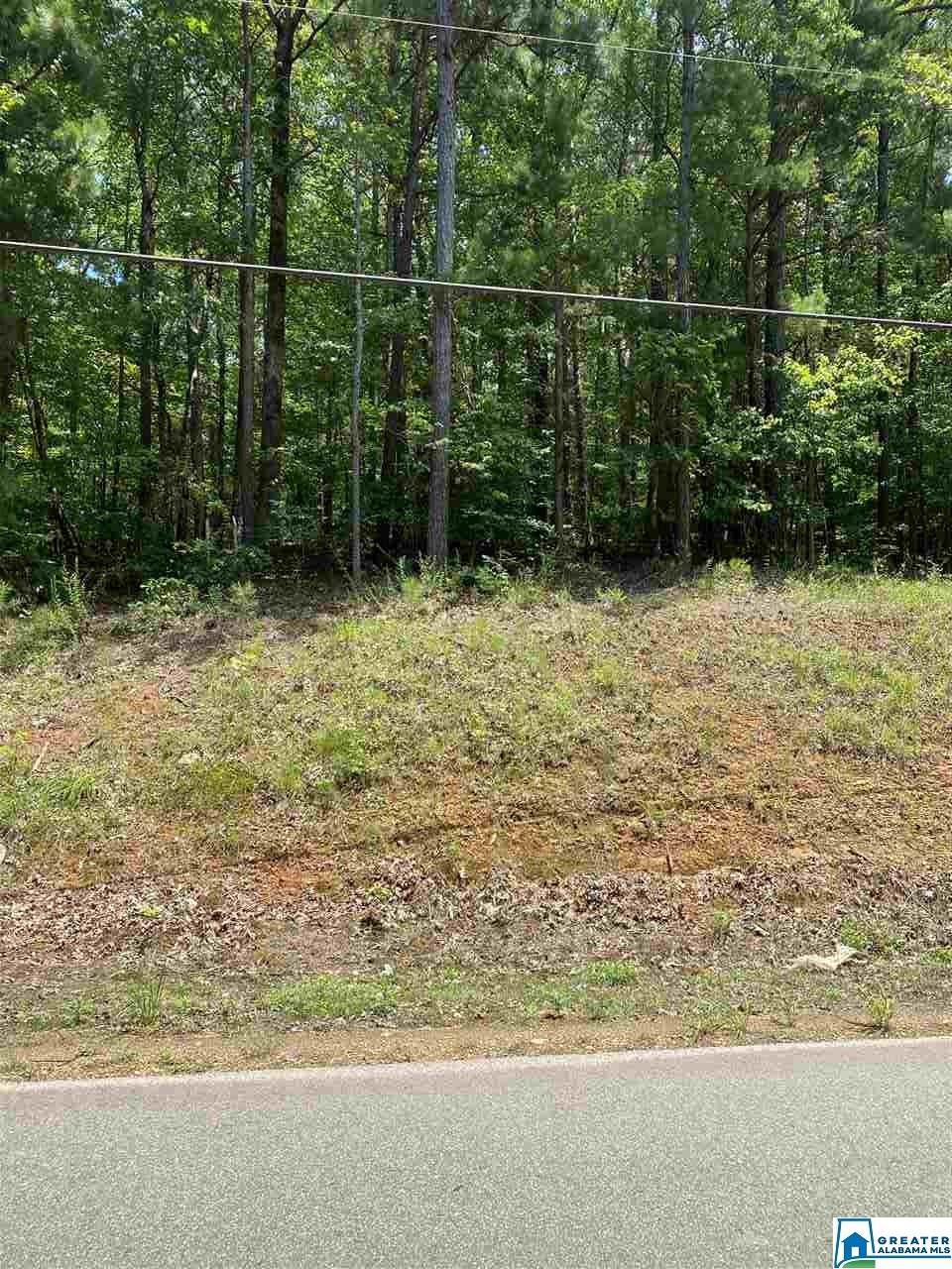 Deer Chase Rd - Photo 1