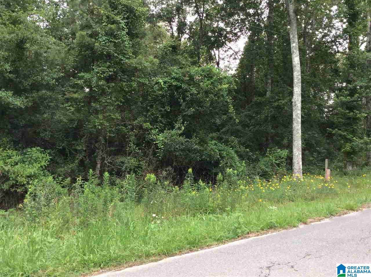 0 Co Rd 71 - Photo 1