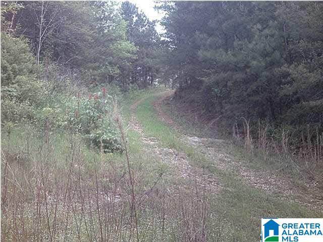 2 County Road 919 - Photo 1