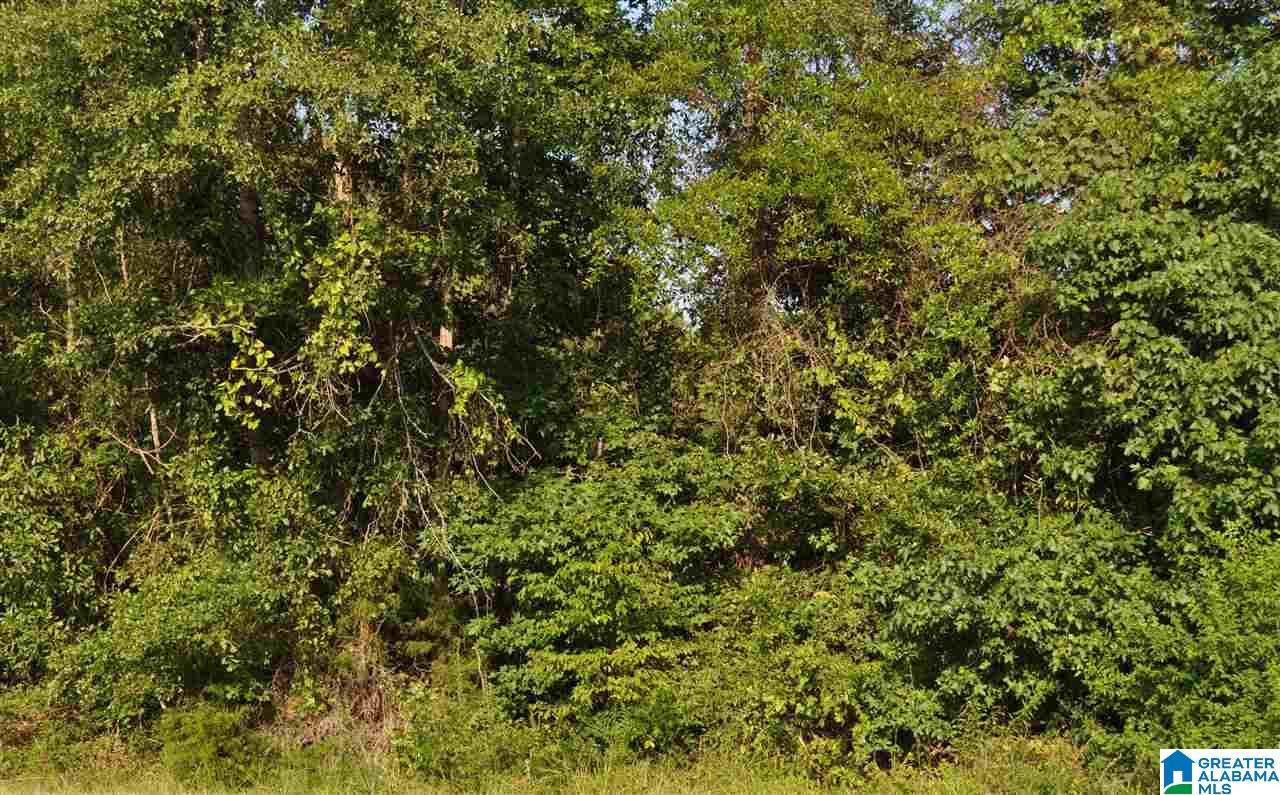 0 County Road 307 - Photo 1
