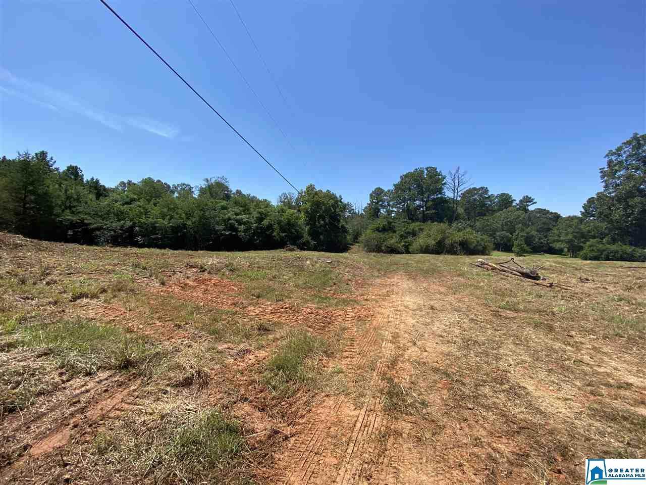 989 State Farm Rd - Photo 1