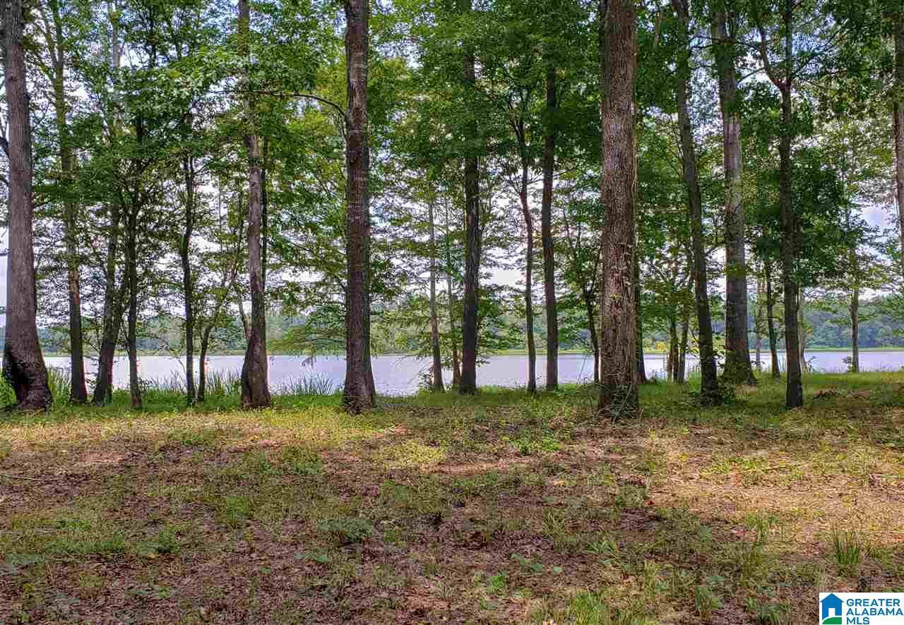 572 Cypress Point Dr - Photo 1
