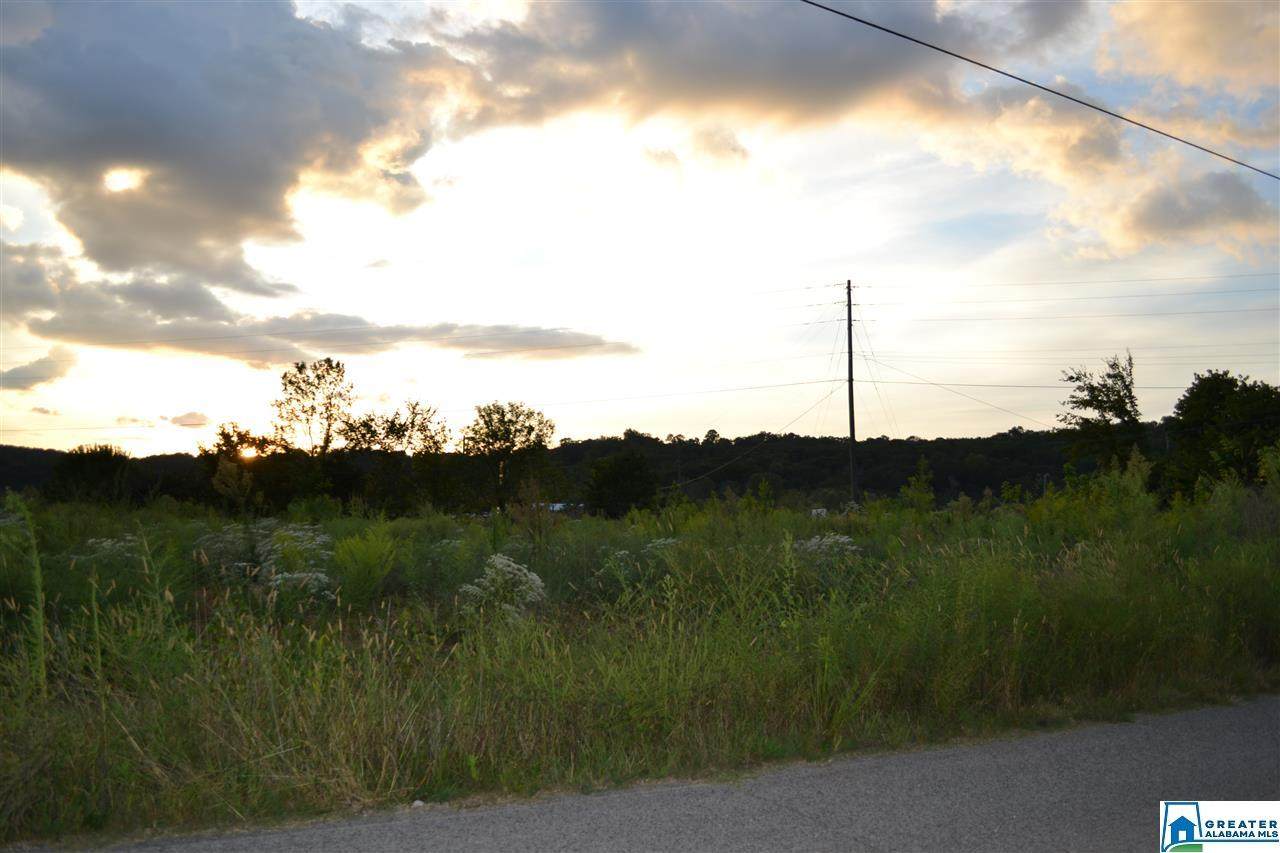 5316 Old Pinson Rd - Photo 1