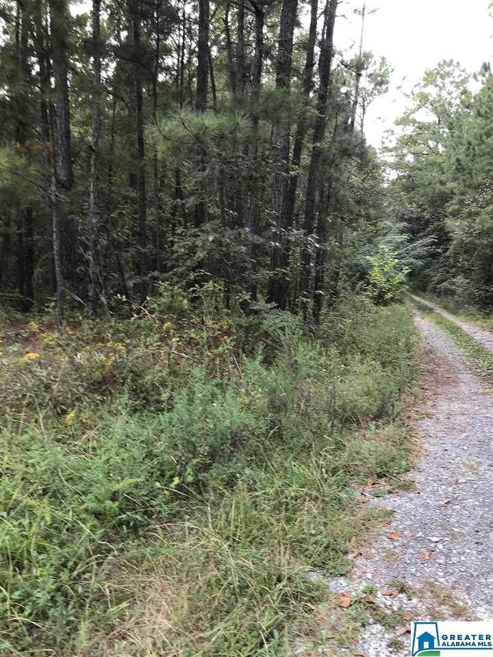 000 Grist Mill Rd - Photo 1