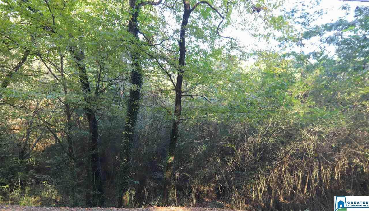 4688 Overton Rd - Photo 1