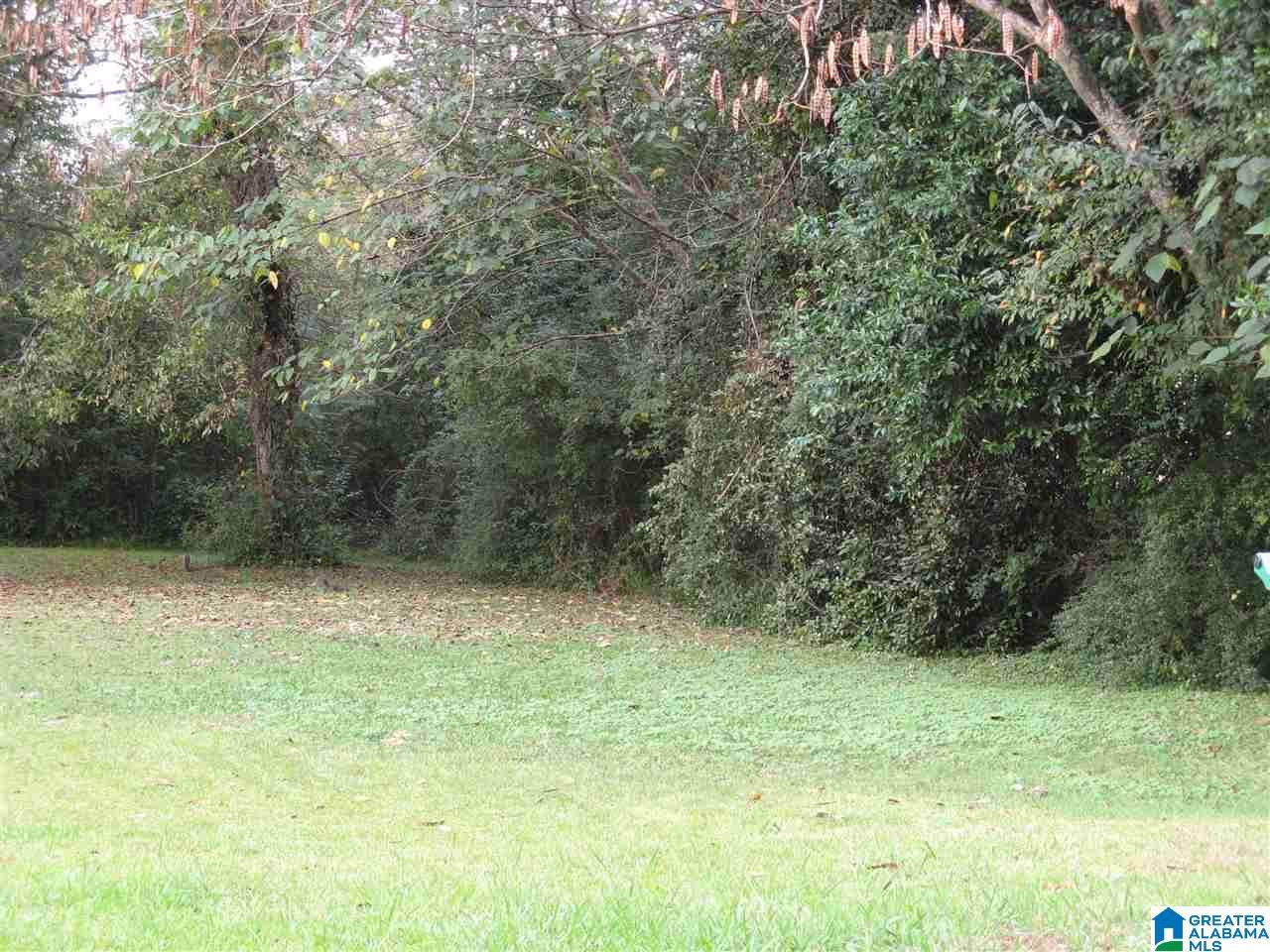216 Hightower Street - Photo 1