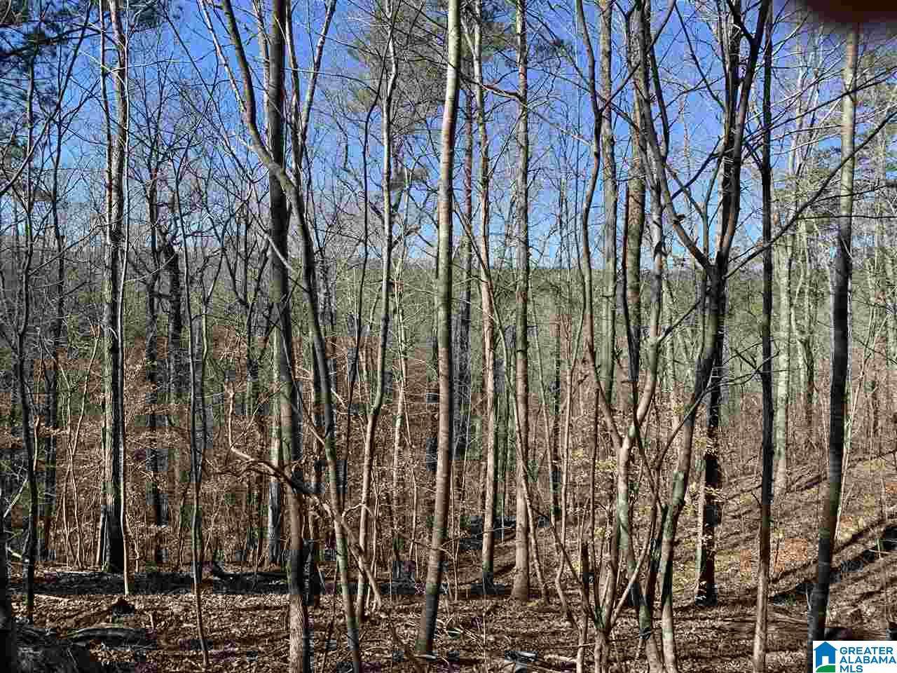620 Mountain Crest Dr - Photo 1