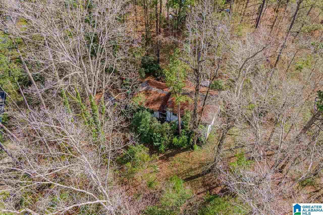 4775 Caldwell Mill Rd - Photo 1