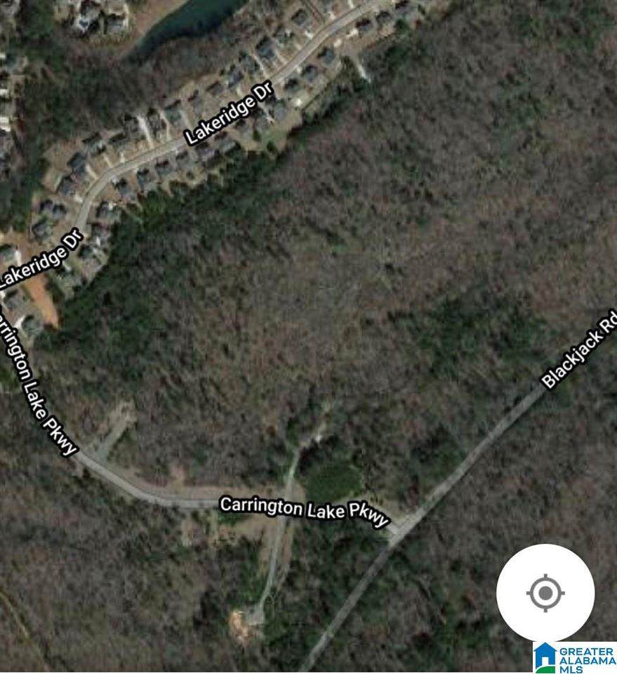 0 Carrington Lake Parkway - Photo 1