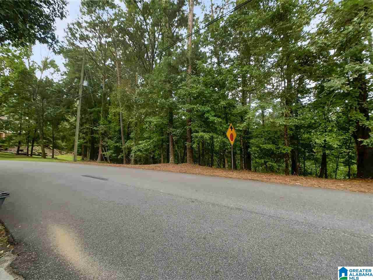 108 Coshatt Trail - Photo 1