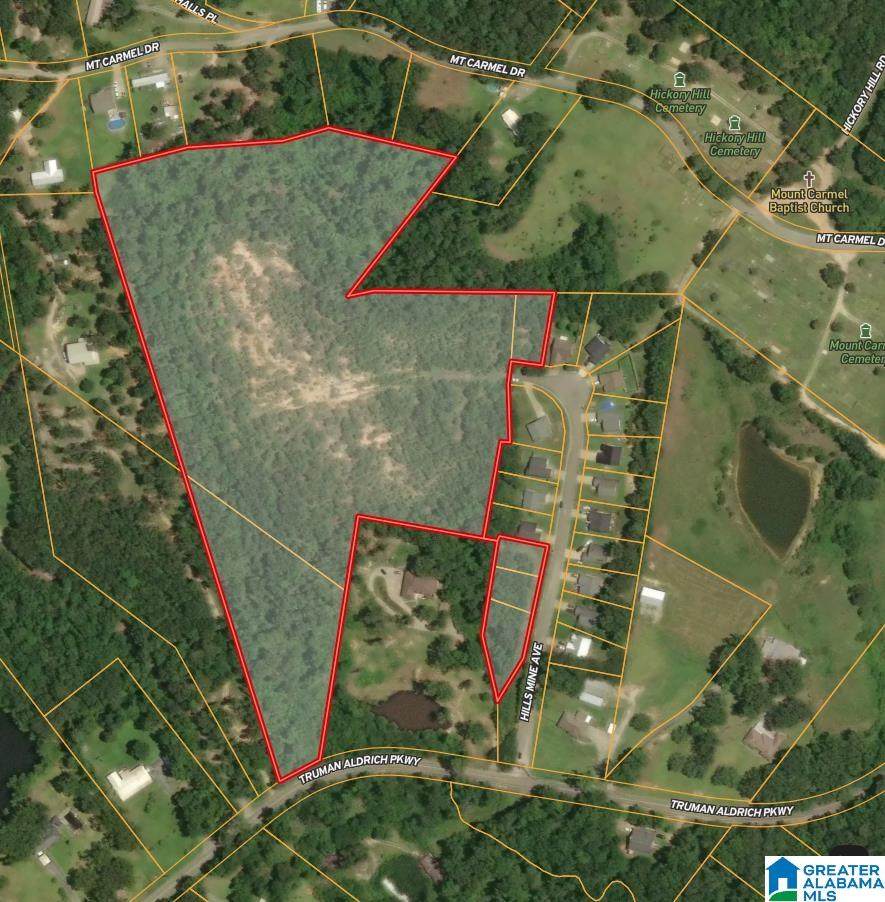 17 Acres Truman Aldrich Parkway - Photo 1