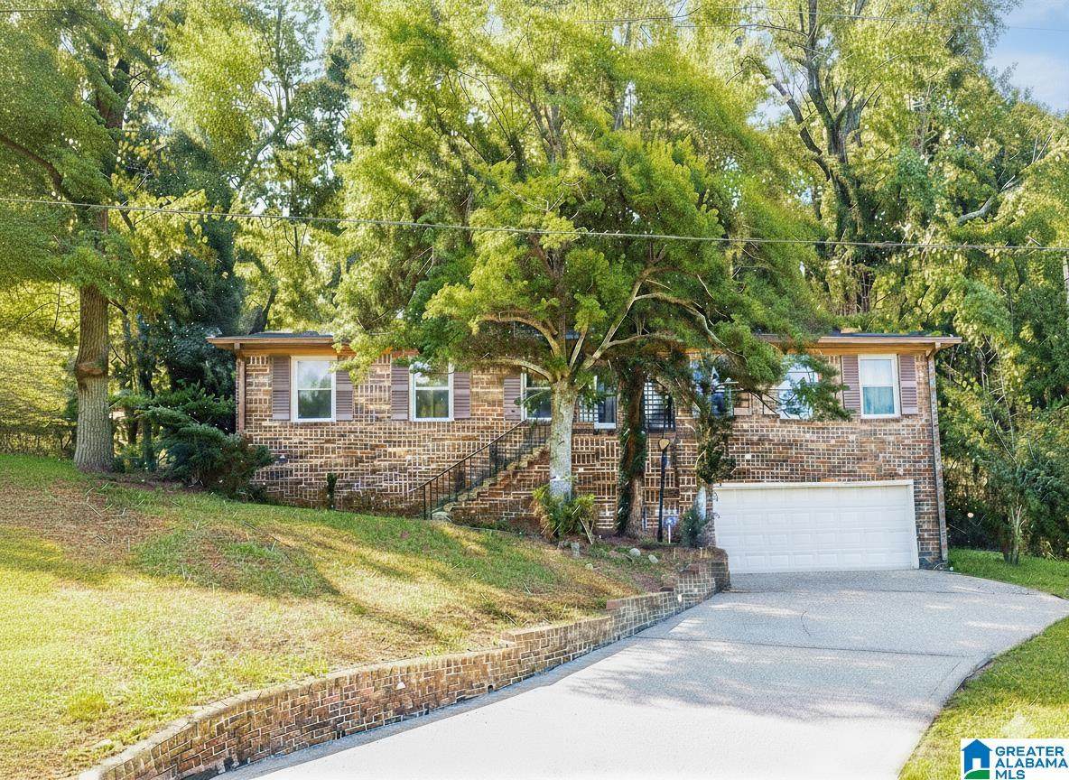 1005 Tammy Anne Drive - Photo 1