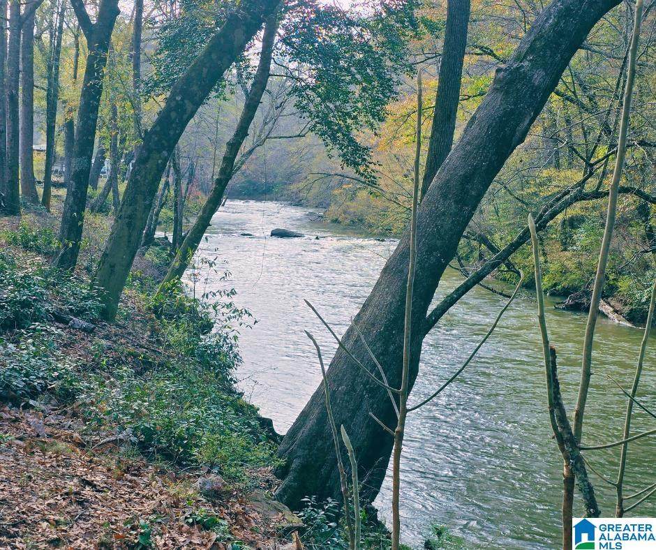  Bluegrass Lane - Photo 1