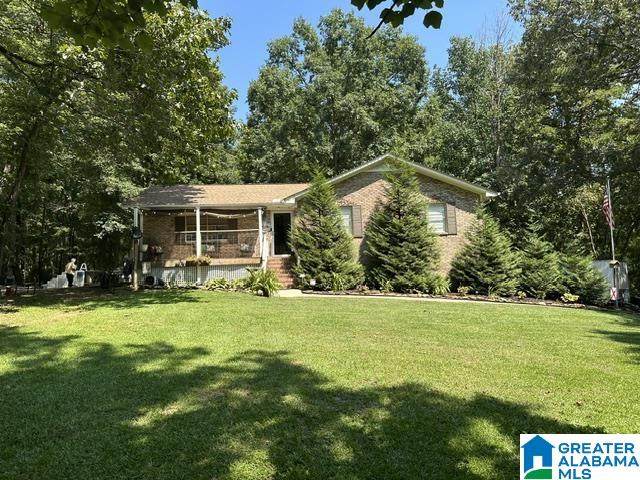 1390 Echo Trail - Photo 1