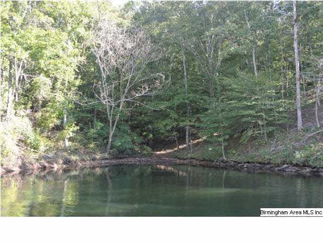 Lot 154 Co Rd 804 - Photo 1