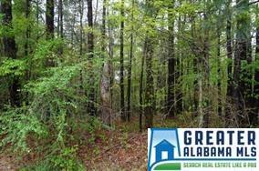 31 Dogwood Dr - Photo 1