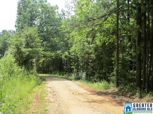 3.73 acres Thomas Ln - Photo 1