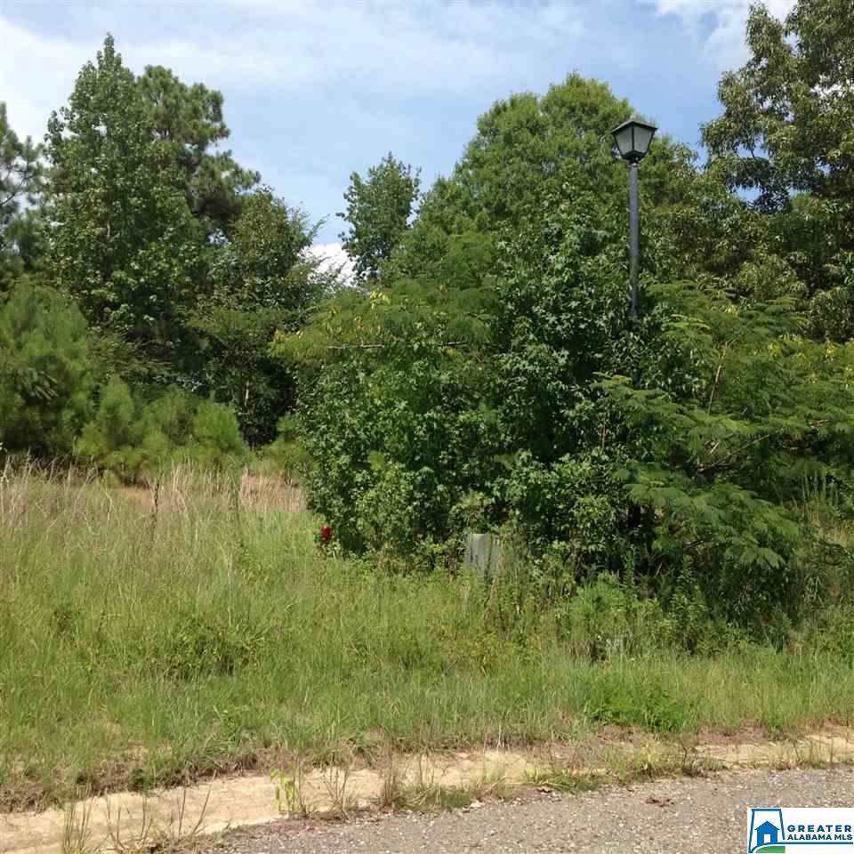 Lot 5 Hillcrest Pl - Photo 1