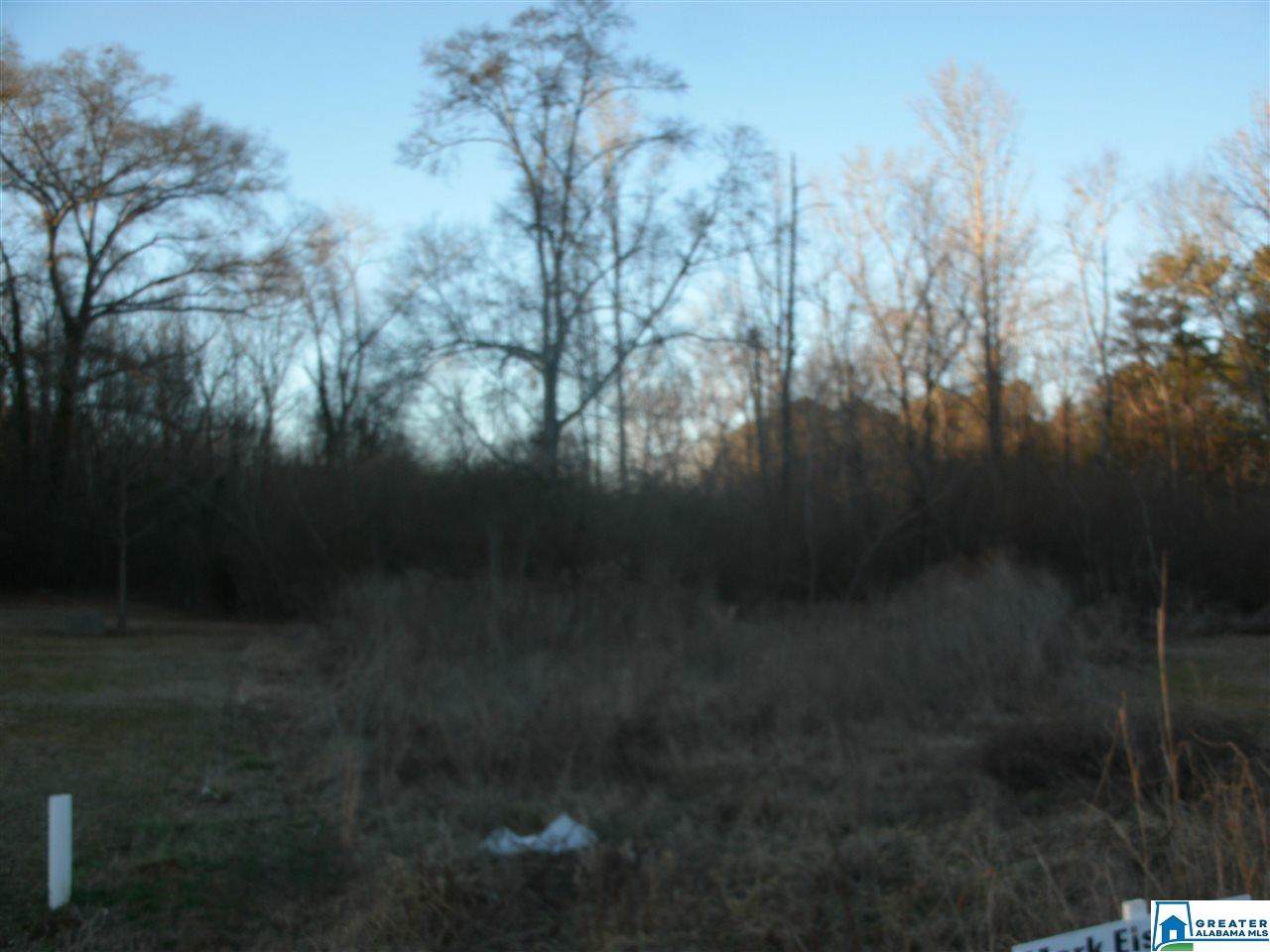 Lot 8 Canterbury Ct - Photo 1