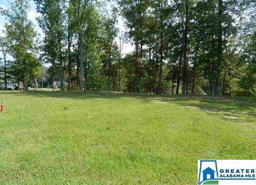 Lot 3 River Run Rd - Photo 1