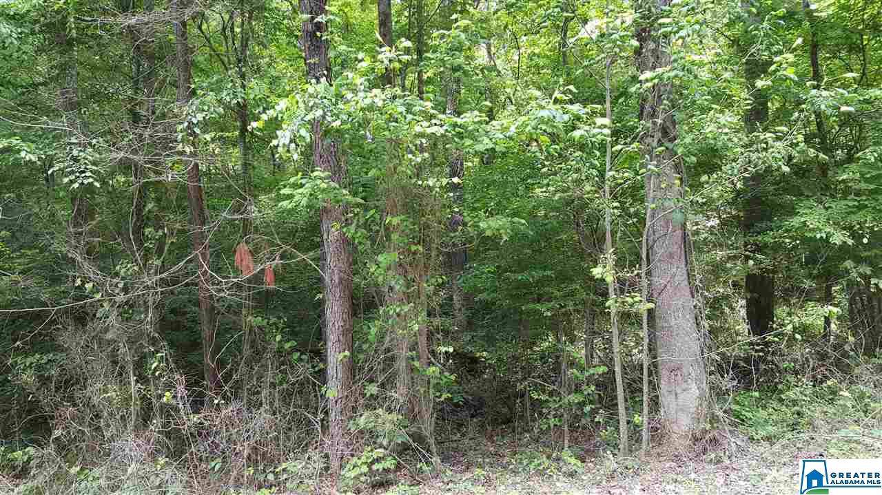 0 Miller Hollow Rd - Photo 1