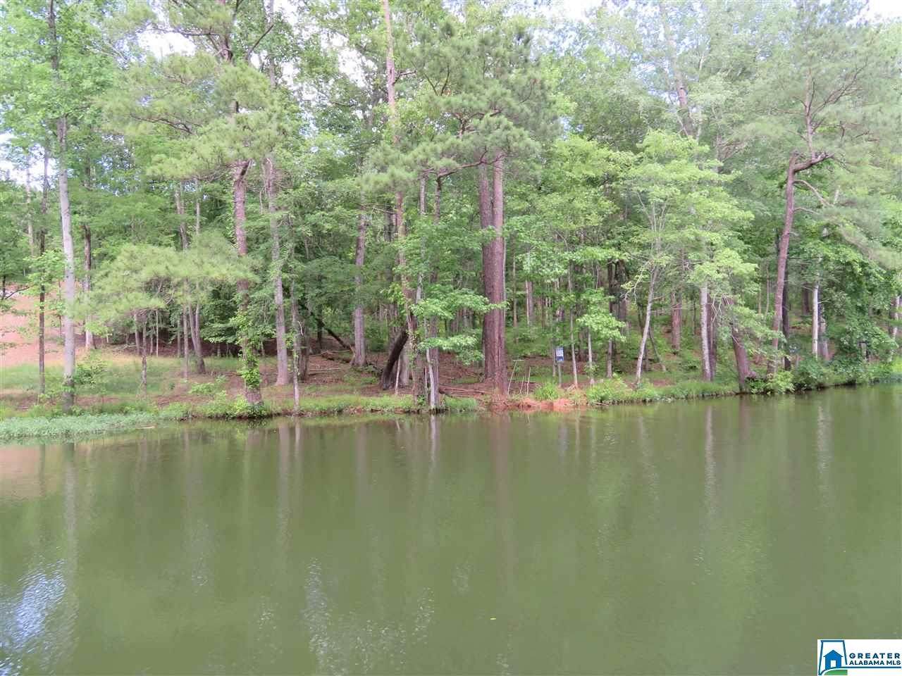 Lot 5 Cove Dr - Photo 1 Lot 5 Cove Dr - Photo 1