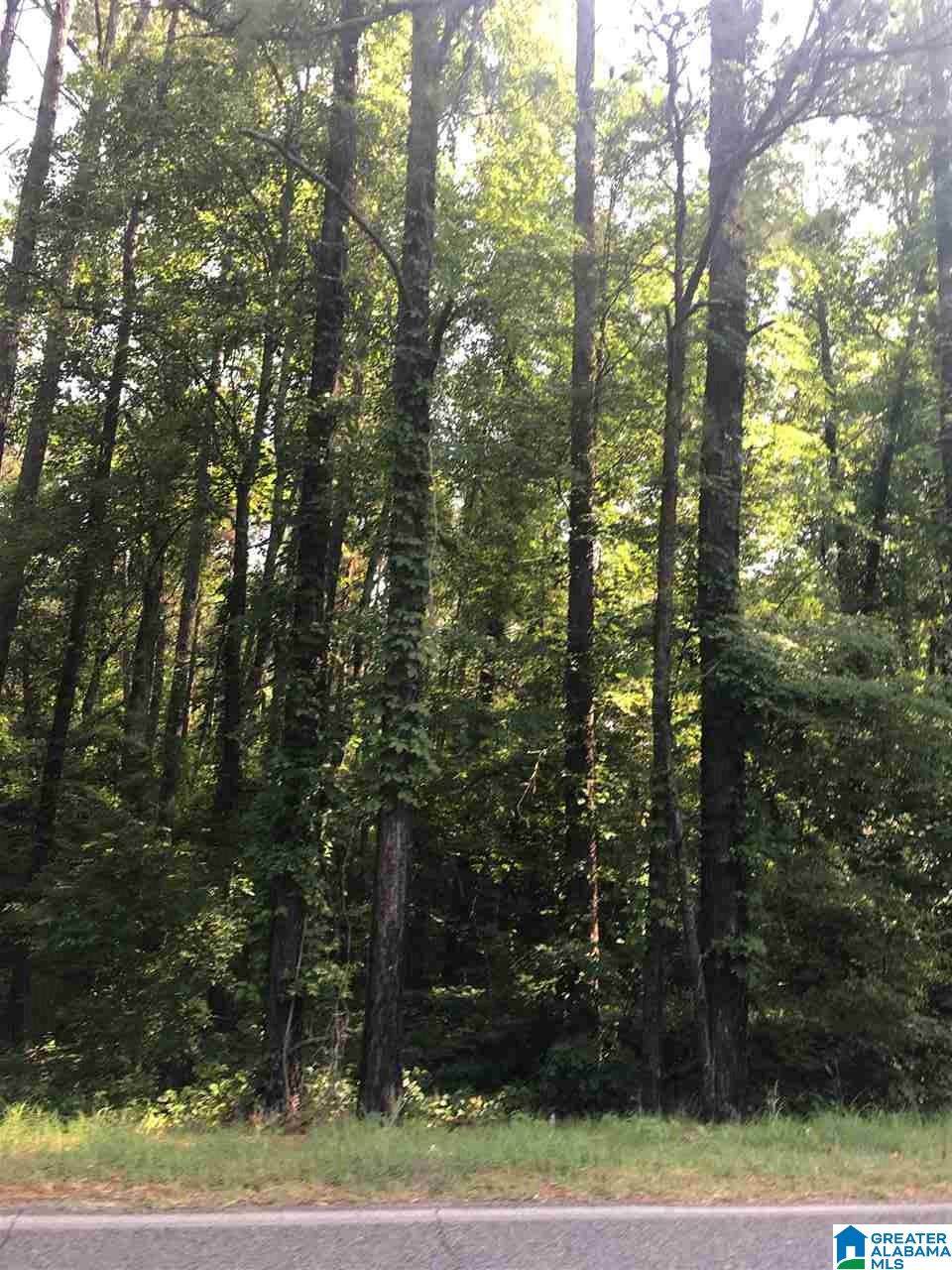 1908 Virginia Ln - Photo 1