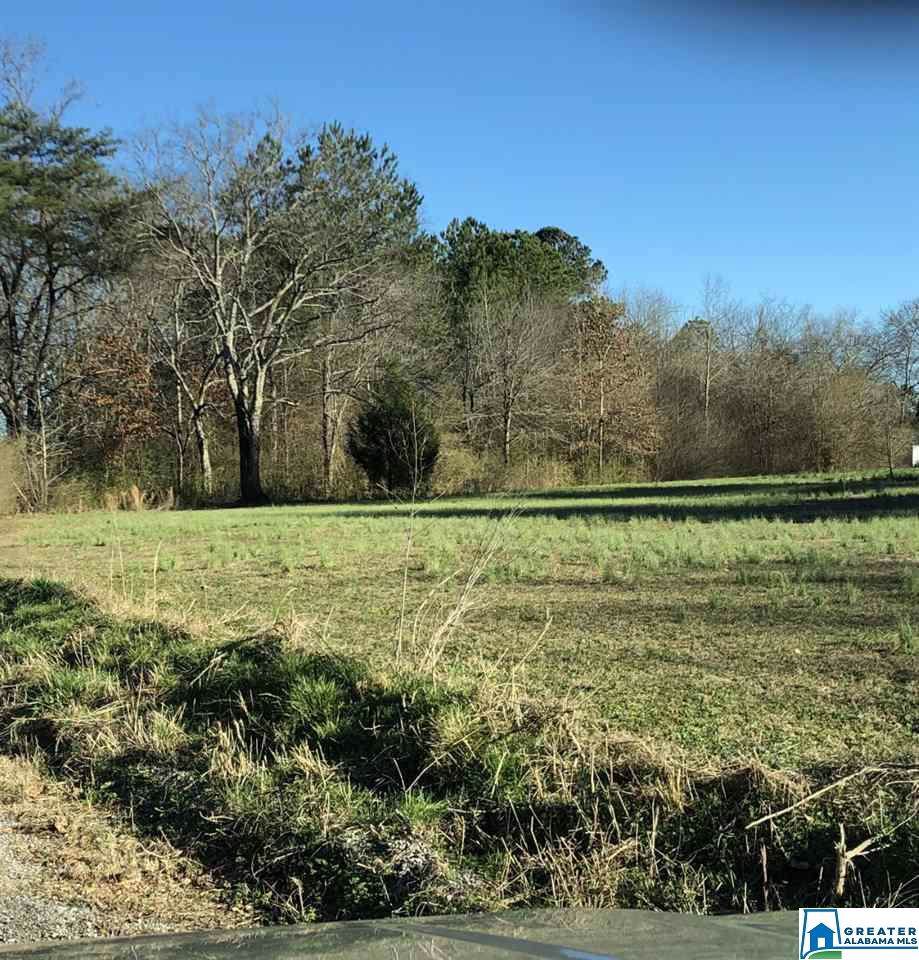5964-B Whitehouse Rd - Photo 1