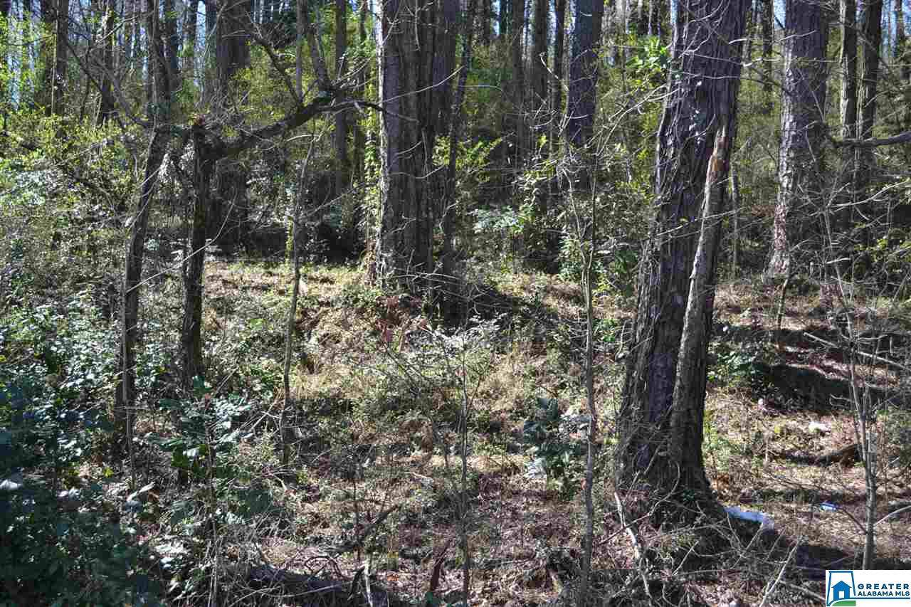 Lot 21 Alpine St - Photo 1