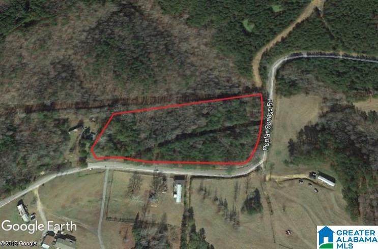 5.67 Acres Poplar Springs Rd - Photo 1