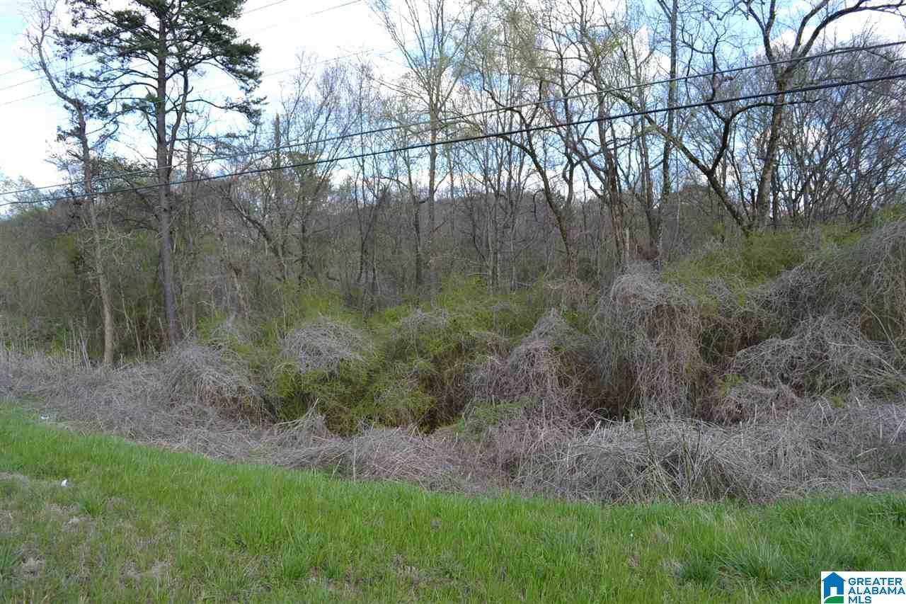 7049 Highway 75 - Photo 1