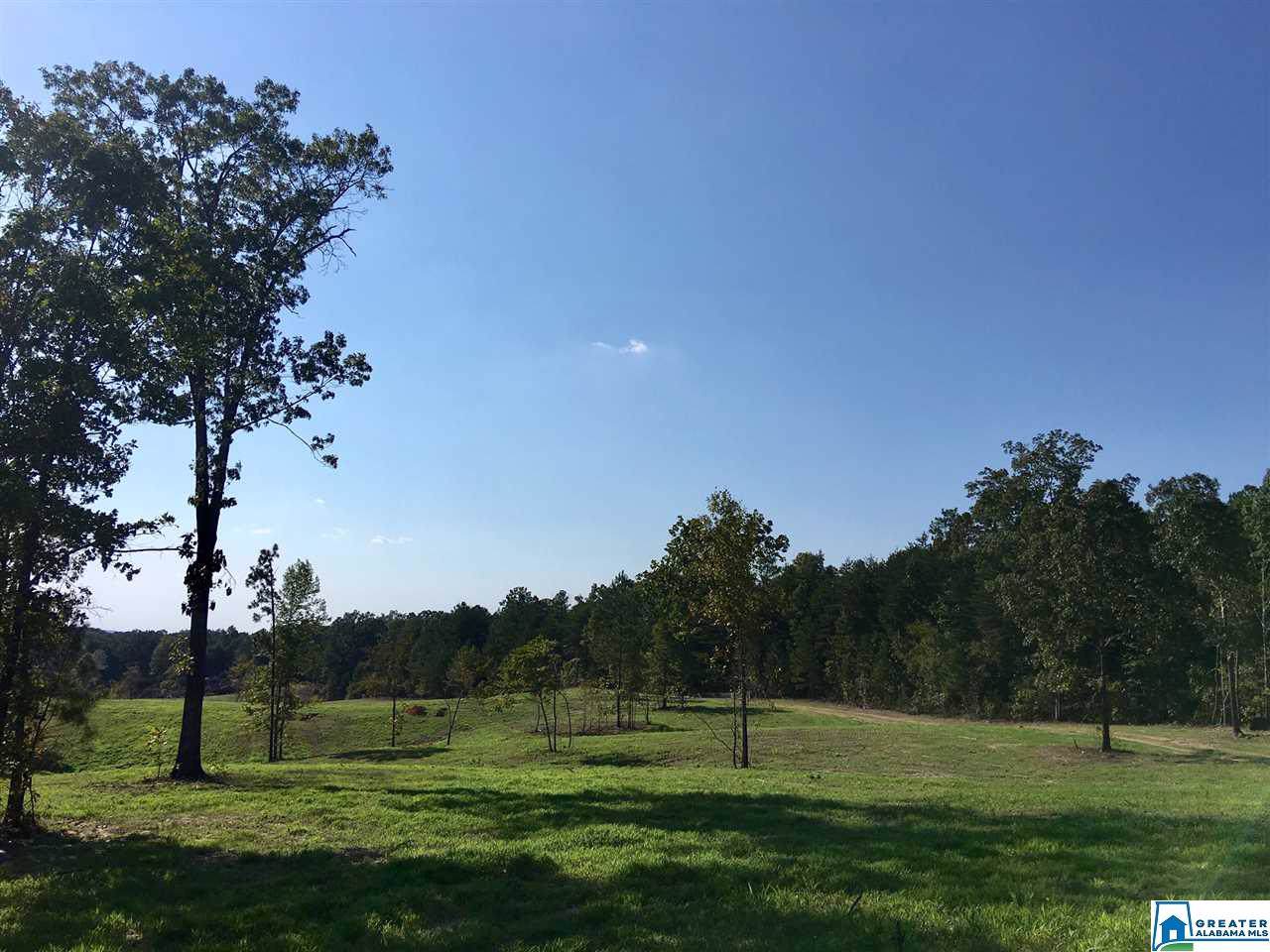 7251 Bluegrass Ln - Photo 1