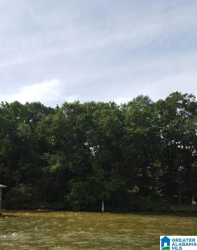 River Oaks Drive - Photo 1