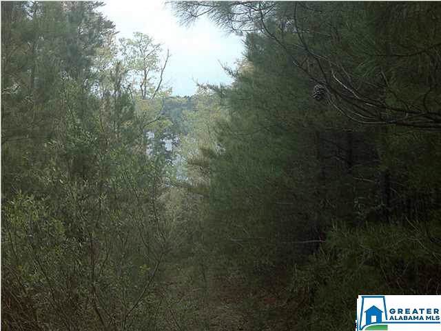 Co Rd 919 - Photo 1