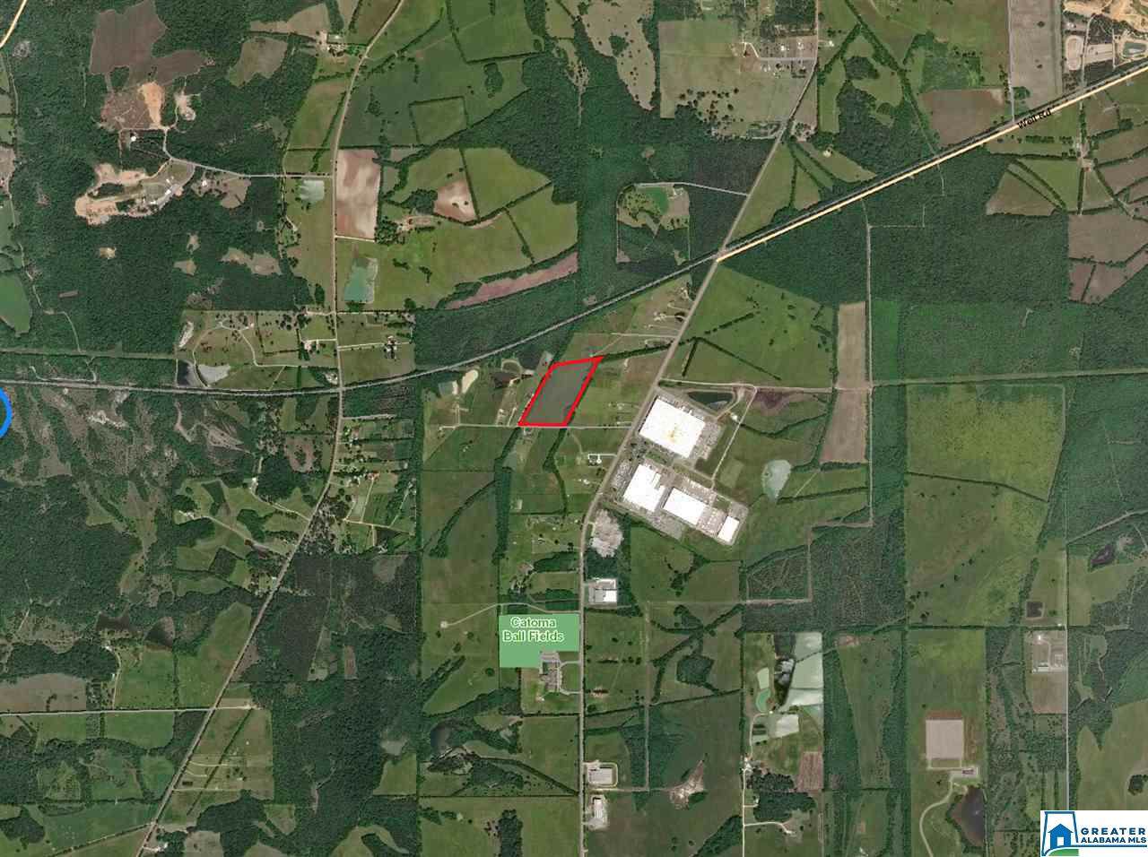 0000 Mitchell Young Rd - Photo 1