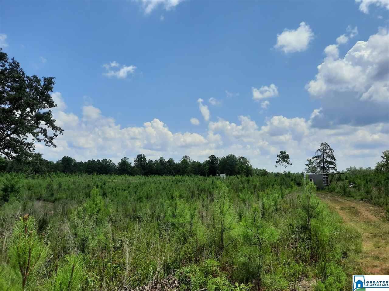 0 Co Rd 15 - Photo 1