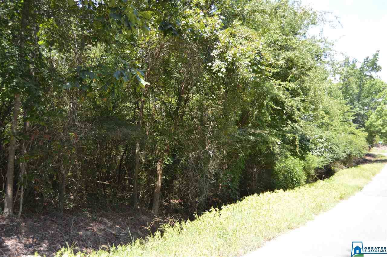 3349 White Rd - Photo 1