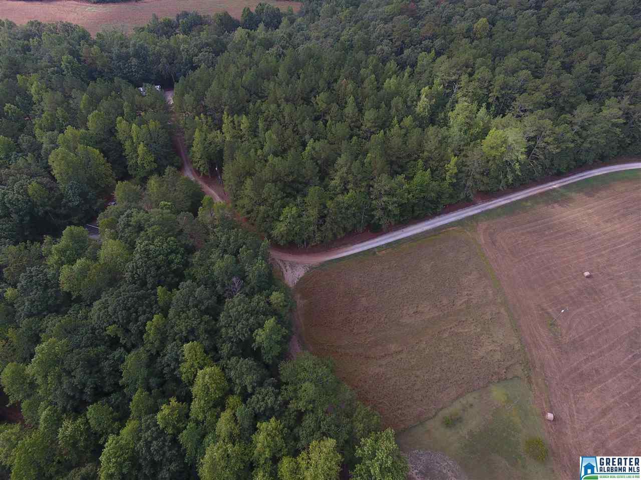 Dobson Mill Rd - Photo 1