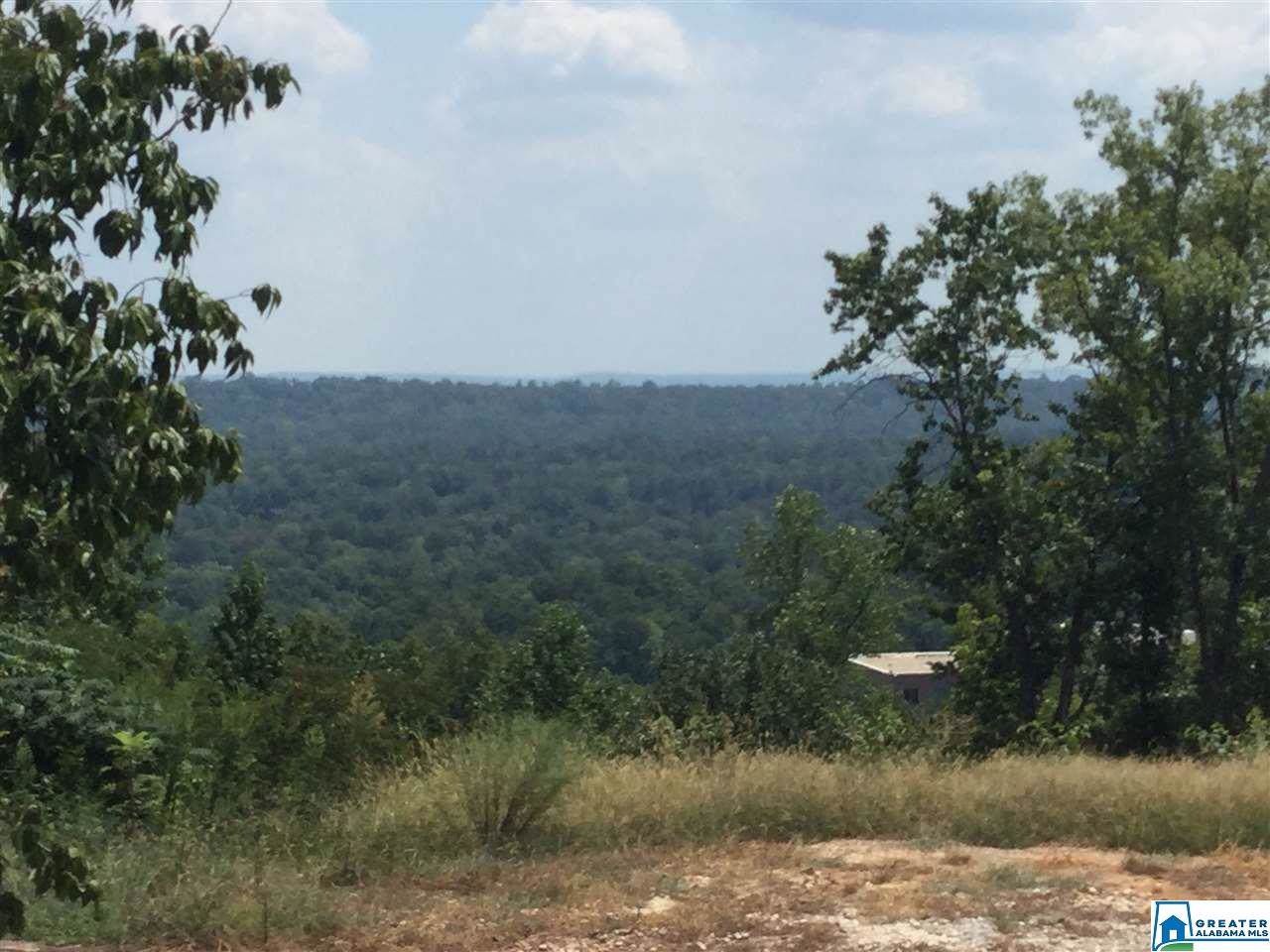 5201 Mountain Ridge Pkwy - Photo 1 5201 Mountain Ridge Pkwy - Photo 1