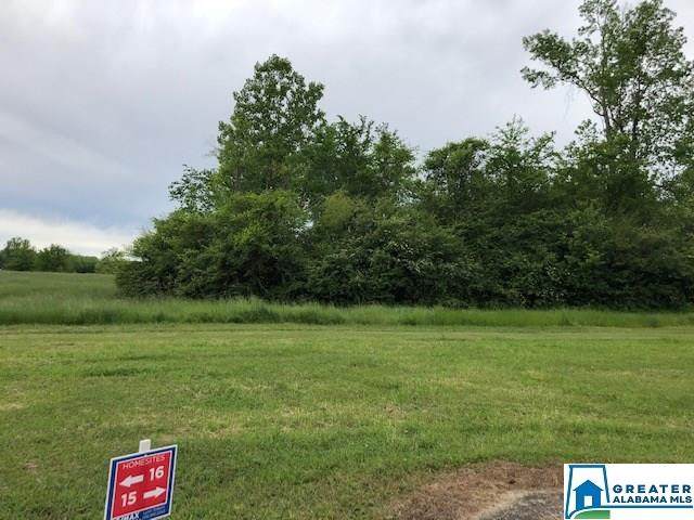 116 Gentle Meadow Dr - Photo 1