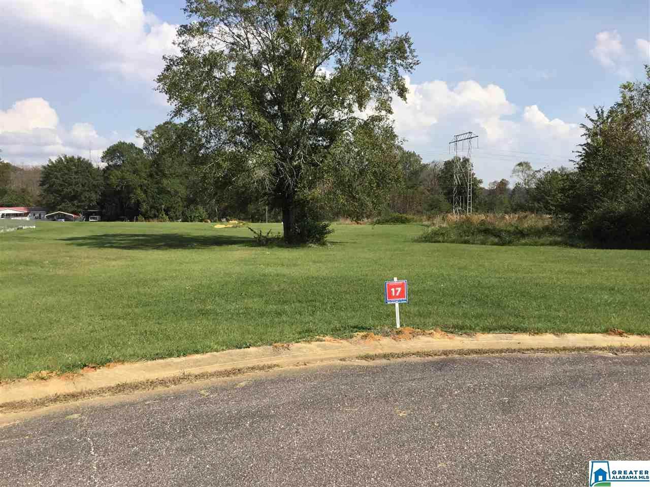 113 Gentle Meadow Dr - Photo 1