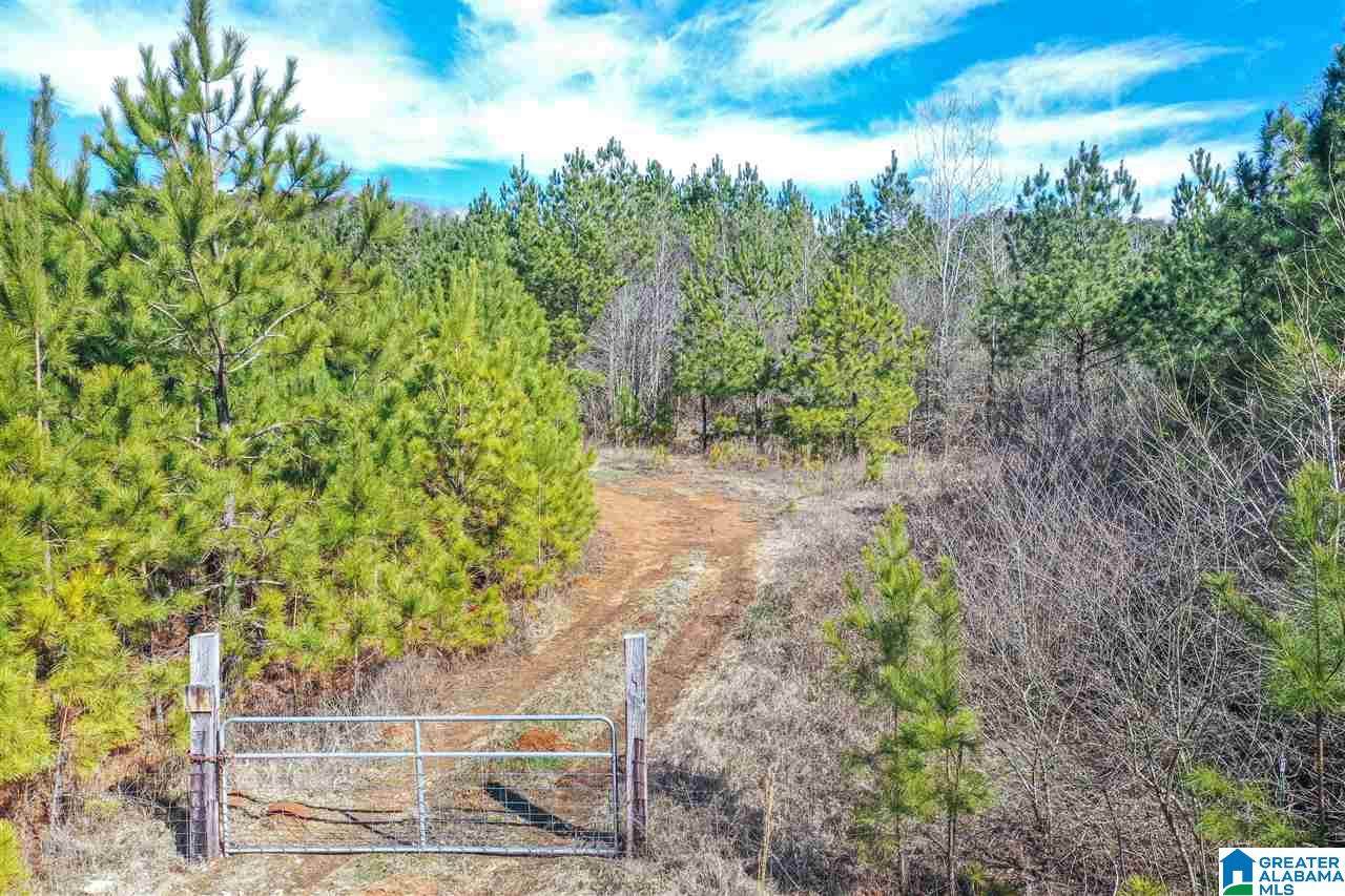 0 Hwy 174 - Photo 1