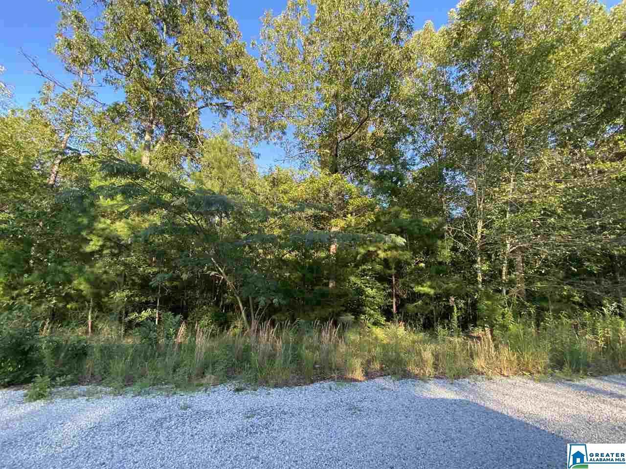 0 Rolling Hills Ln - Photo 1