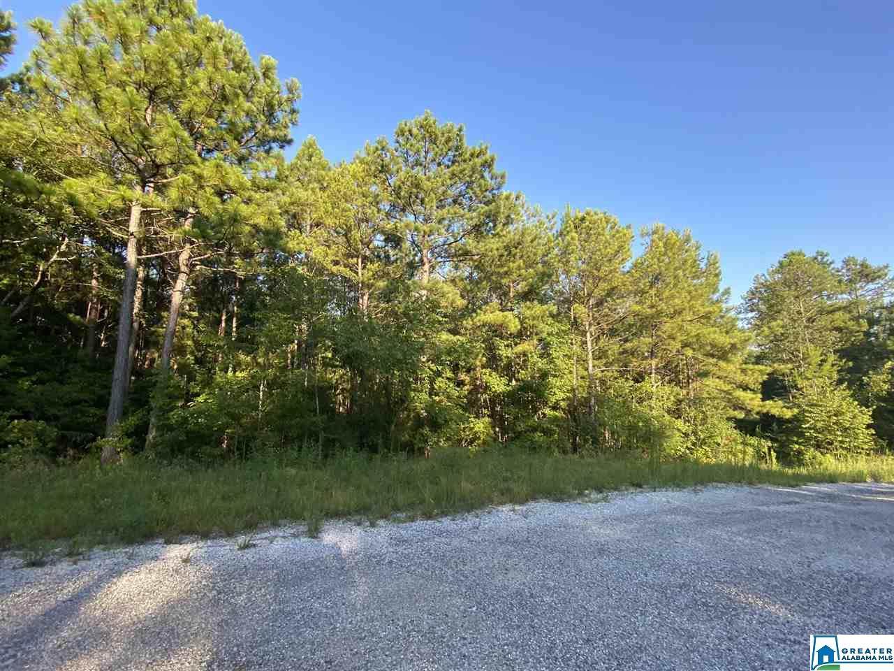 0 Rolling Hills Ln - Photo 1