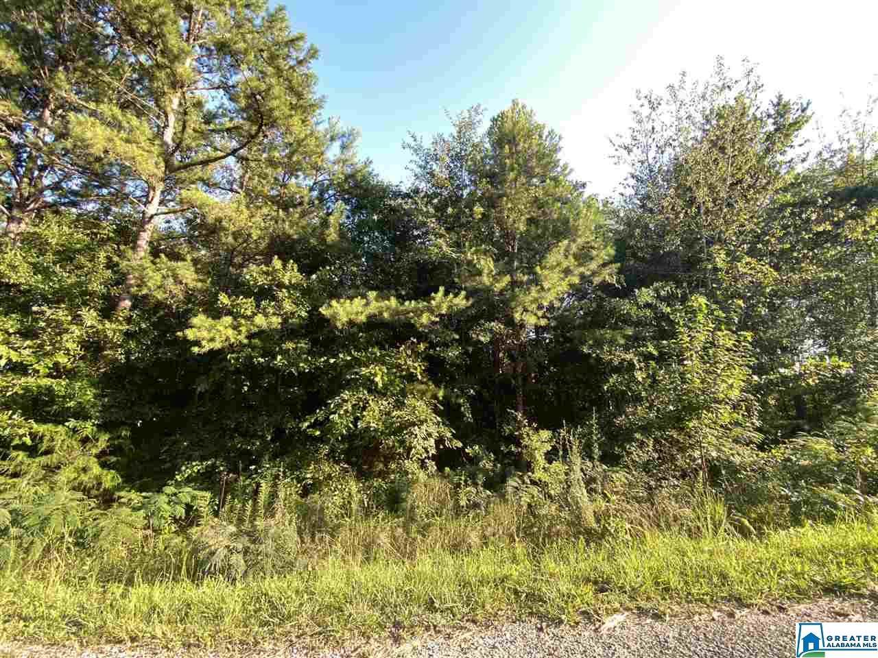 0 Rolling Valley Dr - Photo 1